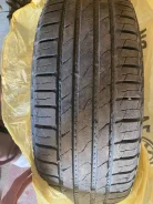 Nordman 5. ������, 2022 ���, ����� ����