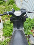 Irbis. 80����. ��., ����������, ��� ���, ������ �� �� ����