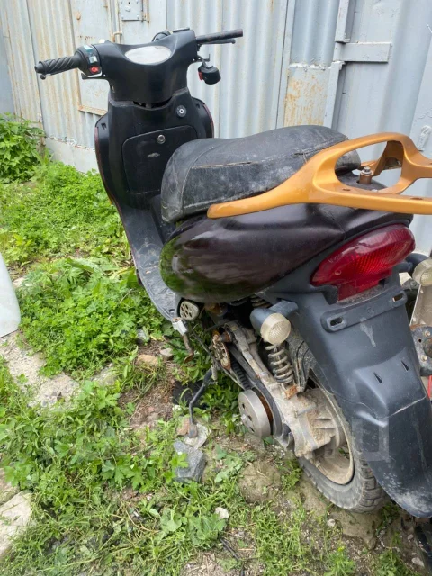Irbis. 80����. ��., ����������, ��� ���, ������ �� �� ����