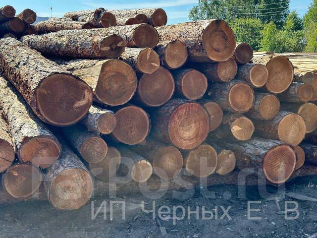 Доска обрезная 50х150х6000 Лиственница Цена за 1 шт, в наличии. Цена: 1 ...