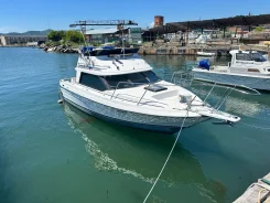 Bayliner. 1992 ���, ����� 7,75��., ��������� ������������, 300��.�., ������ ����