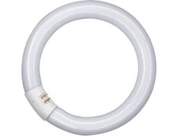    L32/840 C G10Q OSRAM (12.) 