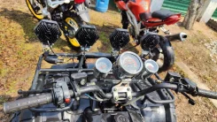 Tiger Sport. ��������, ��, �� ����