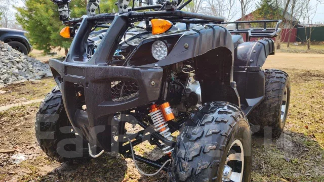 Tiger Sport. ��������, ��, �� ����