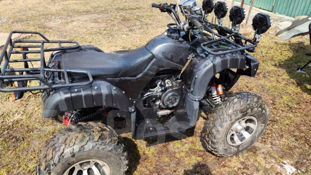 Tiger Sport. ��������, ��, �� ����