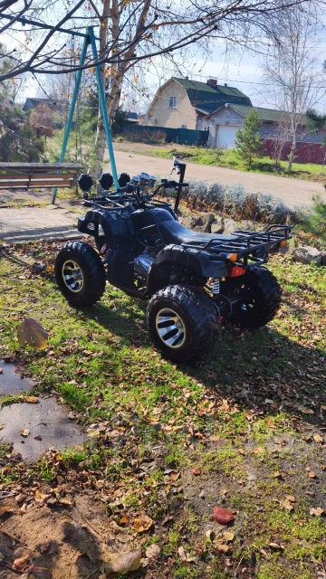 Tiger Sport. ��������, ��, �� ����