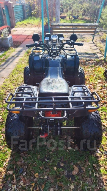 Tiger Sport. ��������, ��, �� ����