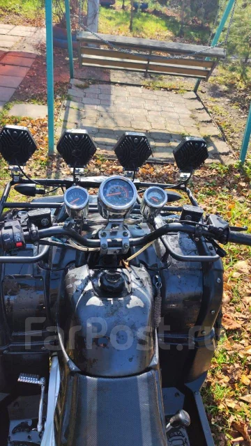 Tiger Sport. ��������, ��, �� ����
