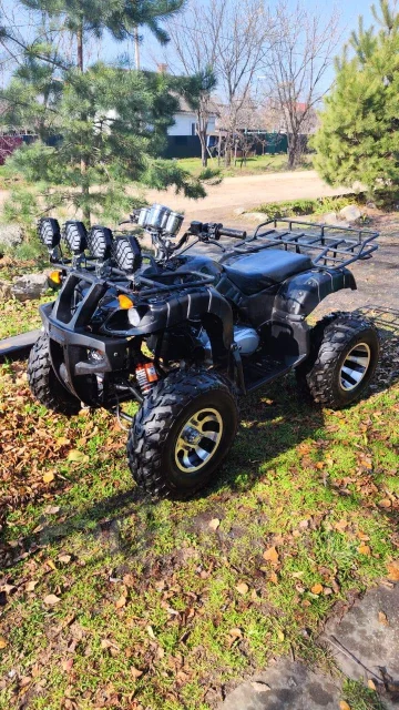Tiger Sport. ��������, ��, �� ����