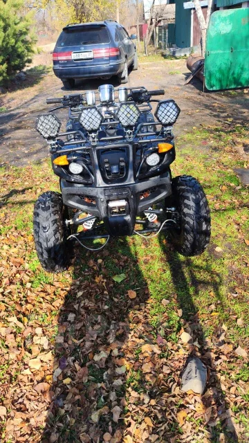 Tiger Sport. ��������, ��, �� ����