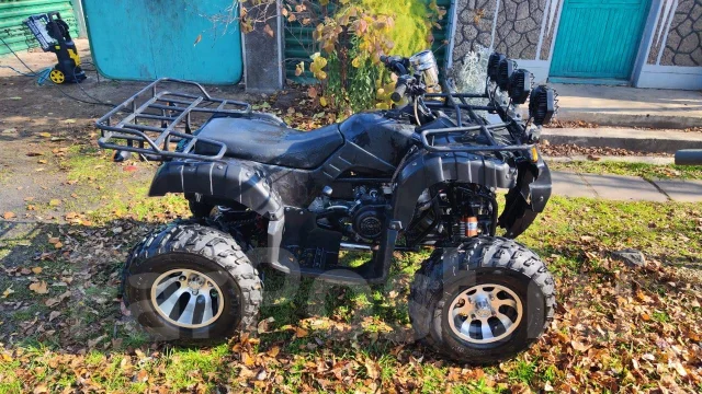 Tiger Sport. ��������, ��, �� ����