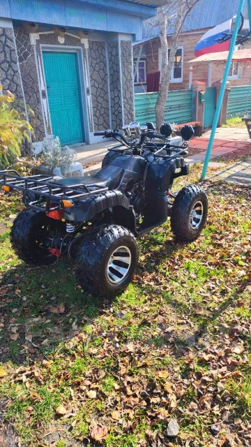 Tiger Sport. ��������, ��, �� ����
