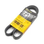 ������ ������������ ���������� Contitech 6PK1029Elast 6PK1029ELAST ����