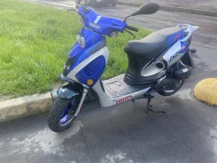 Irbis. 50����. ��., ��������, ��� ���, ������ �� �� ����