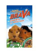 /BraVa     / = 400*14 