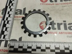 ����� ������ ����� [MB11] MB11 ����