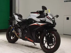 Suzuki GSX 250R. 250����. ��., ��������, ���, ��� ������� ����