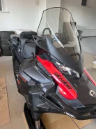 BRP Ski-Doo Skandic SWT. ��������, ���� ���, � �������� ����