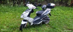 Irbis Centrino. 49����. ��., ��������, ���������, ������ �� �� ����