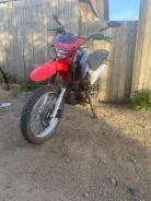 Racer Panther Lite RC250GY-C2A. 250����. ��., ��������, ��� ���, ������ �� �� ����