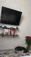 Hisense. LCD (��) ����