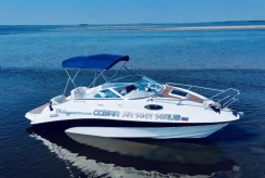 Cobra. 2012 ���, ����� 6,5��., ��������� ������������, 220��.�., ������ ����
