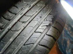 Nordman SX2. ������, 2019 ���, �/�, ����� 5 % ����