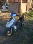 Irbis. 50����. ��., ����������, ��� ���, ������ �� �� ����