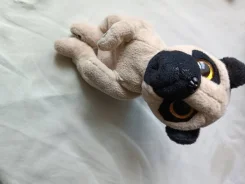 ����� ������ ������� � ������ �������� ������� ��� ���������� ����