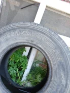 Triangle TR246. ����� at, 2014 ���, �/�, ����� 50 % ����