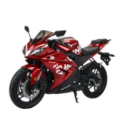 Motoland R1 Pro. 300����. ��., ��������, ���������, ��� �������. ��� ����� �� ������������ ����