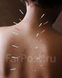 ��������. �������-��������������� ��� ����