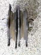 ������� ��������� �������� ���� ������ Ford Fiest 1521328 ����