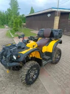 Stels ATV 600YS Leopard. ��������, ��, �� ����