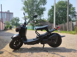 Honda Zoomer. 49����. ��., ��������, ��� ������� ����