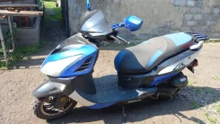 Irbis. 49����. ��., ��������, ���������, ������ �� �� ����