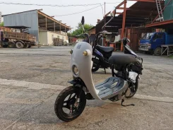 Suzuki Choinori. 49����. ��., ��������, ��� ���, ��� ������� ����
