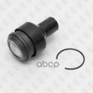 ����� ������� ������ | ����� ����/��� | Fixar ���. FK0394 FK0394 ����