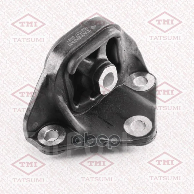 ����� ��������� | ��� | TEG1217 ����
