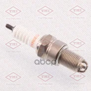 ����� ��������� THS3003 (2876/BUR6ET)* Tatsumi (������) M14x1,25 / AUDI/VW/SEAT/Skoda/FIAT/Lancia (multielectrode) Tatsumi ���. THS3003 THS3003 ����