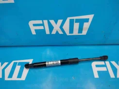 ����������� ��������� Ford Focus I (���� ����� 1) DFW GF1609 ����