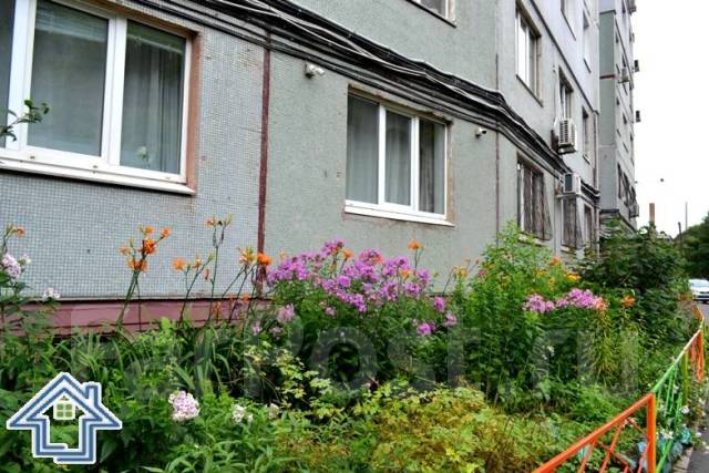 Голливуд ул ватутина 71 фото