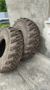 ����-1260. �����������, 2019 ���, �/�, ����� �� 5 % ����