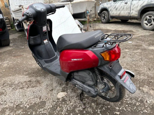 Honda Tact AF-79. 50����. ��., ��������, ��� ������� ����