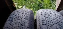 Nordman 1. ������, �/�, ����� 35 % ����