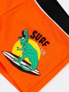 ������ ���������. ����: 104-110, 110-116 �� ����