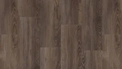 ������ ���. ����