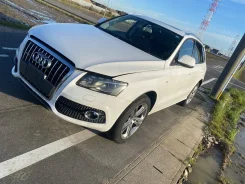 Audi Q5. 8R, CDNC ����