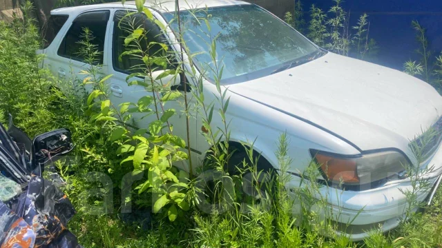 Toyota Vista Ardeo. ZZV50 ����