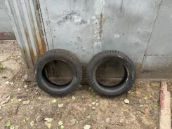 Bridgestone Blizzak Revo GZ. �����������, �/�, ����� 5 % ����